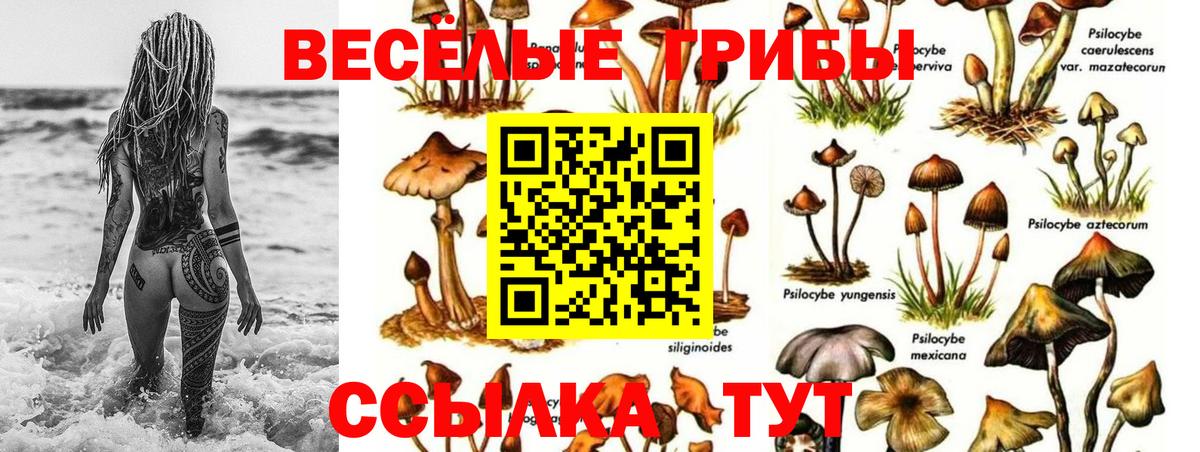 Псилоцибиновые грибы ЛСД  Вход с VPN  Уварово 